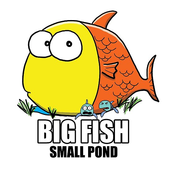 Become the Big Fish in a Small Pond